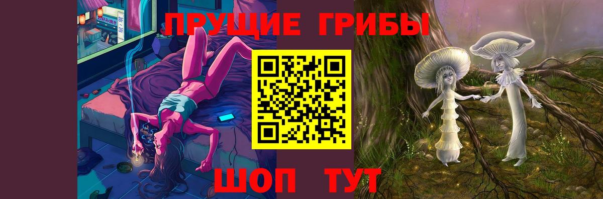 наркотики  Галлюциногенные грибы Psilocybine cubensis  Вход с VPN  Минеральные Воды 